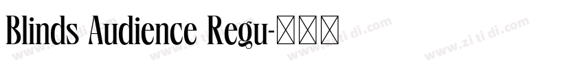 Blinds Audience Regu字体转换